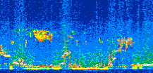 /calipso-imagery/data/BROWSE/production/V5-00/2016-04-25/2016-04-25_21-44-52_V5.00_2_thmb.png image missing