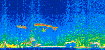 /calipso-imagery/data/BROWSE/production/V5-00/2016-04-27/2016-04-27_18-14-53_V5.00_3_thmb.png image missing