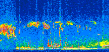 /calipso-imagery/data/BROWSE/production/V5-00/2016-05-05/2016-05-05_05-54-02_V5.00_2_thmb.png image missing