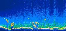 /calipso-imagery/data/BROWSE/production/V5-00/2016-05-05/2016-05-05_07-32-52_V5.00_1_thmb.png image missing