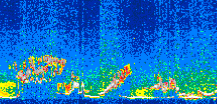 /calipso-imagery/data/BROWSE/production/V5-00/2016-05-05/2016-05-05_07-32-52_V5.00_3_thmb.png image missing