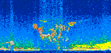 /calipso-imagery/data/BROWSE/production/V5-00/2016-05-05/2016-05-05_09-11-48_V5.00_2_thmb.png image missing