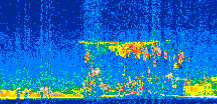 /calipso-imagery/data/BROWSE/production/V5-00/2016-05-05/2016-05-05_10-50-38_V5.00_2_thmb.png image missing