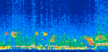 /calipso-imagery/data/BROWSE/production/V5-00/2016-05-05/2016-05-05_14-08-28_V5.00_3_thmb.png image missing