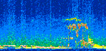/calipso-imagery/data/BROWSE/production/V5-00/2016-05-05/2016-05-05_19-05-09_V5.00_2_thmb.png image missing