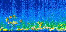 /calipso-imagery/data/BROWSE/production/V5-00/2016-05-10/2016-05-10_01-16-17_V5.00_3_thmb.png image missing