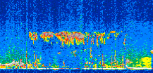 /calipso-imagery/data/BROWSE/production/V5-00/2016-05-10/2016-05-10_09-30-44_V5.00_2_thmb.png image missing