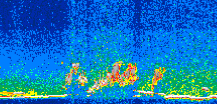 /calipso-imagery/data/BROWSE/production/V5-00/2016-05-10/2016-05-10_19-24-05_V5.00_3_thmb.png image missing