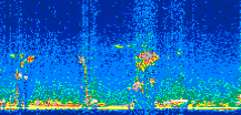 /calipso-imagery/data/BROWSE/production/V5-00/2016-05-10/2016-05-10_22-41-50_V5.00_2_thmb.png image missing