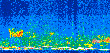 /calipso-imagery/data/BROWSE/production/V5-00/2016-05-16/2016-05-16_00-39-36_V5.00_3_thmb.png image missing