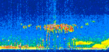 /calipso-imagery/data/BROWSE/production/V5-00/2016-05-16/2016-05-16_08-54-02_V5.00_2_thmb.png image missing