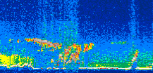 /calipso-imagery/data/BROWSE/production/V5-00/2016-05-16/2016-05-16_08-54-02_V5.00_3_thmb.png image missing