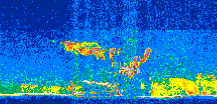 /calipso-imagery/data/BROWSE/production/V5-00/2016-05-16/2016-05-16_12-11-48_V5.00_2_thmb.png image missing
