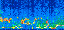 /calipso-imagery/data/BROWSE/production/V5-00/2016-05-16/2016-05-16_13-50-43_V5.00_3_thmb.png image missing
