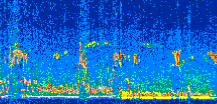 /calipso-imagery/data/BROWSE/production/V5-00/2016-05-16/2016-05-16_17-08-29_V5.00_2_thmb.png image missing