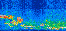 /calipso-imagery/data/BROWSE/production/V5-00/2016-05-16/2016-05-16_18-47-24_V5.00_3_thmb.png image missing