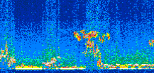 /calipso-imagery/data/BROWSE/production/V5-00/2016-05-16/2016-05-16_22-05-09_V5.00_2_thmb.png image missing
