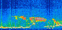 /calipso-imagery/data/BROWSE/production/V5-00/2016-05-18/2016-05-18_13-38-24_V5.00_3_thmb.png image missing