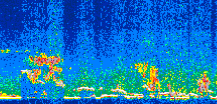 /calipso-imagery/data/BROWSE/production/V5-00/2016-05-18/2016-05-18_16-56-15_V5.00_3_thmb.png image missing