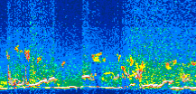 /calipso-imagery/data/BROWSE/production/V5-00/2016-05-18/2016-05-18_18-35-05_V5.00_3_thmb.png image missing