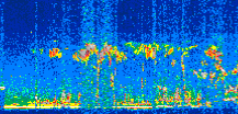 /calipso-imagery/data/BROWSE/production/V5-00/2016-05-19/2016-05-19_06-07-22_V5.00_2_thmb.png image missing