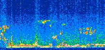 /calipso-imagery/data/BROWSE/production/V5-00/2016-05-19/2016-05-19_22-36-14_V5.00_2_thmb.png image missing