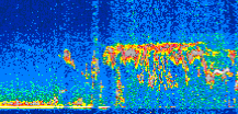 /calipso-imagery/data/BROWSE/production/V5-00/2016-05-20/2016-05-20_06-50-40_V5.00_2_thmb.png image missing