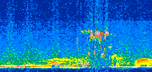 /calipso-imagery/data/BROWSE/production/V5-00/2016-05-20/2016-05-20_13-26-11_V5.00_2_thmb.png image missing
