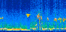 /calipso-imagery/data/BROWSE/production/V5-00/2016-05-20/2016-05-20_21-40-37_V5.00_2_thmb.png image missing