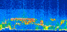 /calipso-imagery/data/BROWSE/production/V5-00/2016-05-22/2016-05-22_08-17-16_V5.00_3_thmb.png image missing
