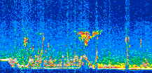 /calipso-imagery/data/BROWSE/production/V5-00/2016-05-22/2016-05-22_18-10-38_V5.00_2_thmb.png image missing