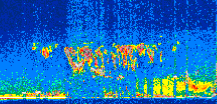 /calipso-imagery/data/BROWSE/production/V5-00/2016-05-23/2016-05-23_07-21-39_V5.00_2_thmb.png image missing