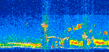 /calipso-imagery/data/BROWSE/production/V5-00/2016-05-23/2016-05-23_12-18-20_V5.00_2_thmb.png image missing