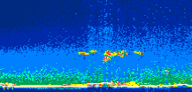 /calipso-imagery/data/BROWSE/production/V5-00/2016-05-24/2016-05-24_04-47-12_V5.00_1_thmb.png image missing