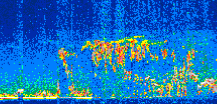 /calipso-imagery/data/BROWSE/production/V5-00/2016-05-24/2016-05-24_06-26-07_V5.00_2_thmb.png image missing