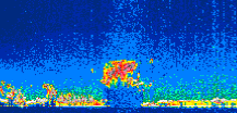/calipso-imagery/data/BROWSE/production/V5-00/2016-05-24/2016-05-24_14-40-34_V5.00_1_thmb.png image missing