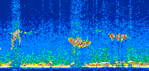 /calipso-imagery/data/BROWSE/production/V5-00/2016-05-24/2016-05-24_22-55-00_V5.00_2_thmb.png image missing