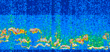 /calipso-imagery/data/BROWSE/production/V5-00/2016-05-31/2016-05-31_06-32-30_V5.00_3_thmb.png image missing
