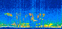 /calipso-imagery/data/BROWSE/production/V5-00/2016-05-31/2016-05-31_16-25-51_V5.00_2_thmb.png image missing