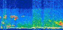 /calipso-imagery/data/BROWSE/production/V5-00/2016-05-31/2016-05-31_18-04-41_V5.00_3_thmb.png image missing