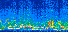 /calipso-imagery/data/BROWSE/production/V5-00/2016-05-31/2016-05-31_19-43-36_V5.00_3_thmb.png image missing
