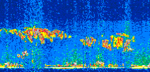 /calipso-imagery/data/BROWSE/production/V5-00/2016-06-06/2016-06-06_00-58-53_V5.00_2_thmb.png image missing