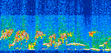 /calipso-imagery/data/BROWSE/production/V5-00/2016-06-06/2016-06-06_04-16-39_V5.00_3_thmb.png image missing