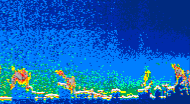 /calipso-imagery/data/BROWSE/production/V5-00/2016-06-06/2016-06-06_17-27-45_V5.00_4_thmb.png image missing
