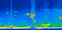 /calipso-imagery/data/BROWSE/production/V5-00/2016-06-06/2016-06-06_20-45-31_V5.00_2_thmb.png image missing