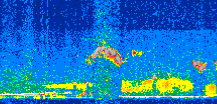 /calipso-imagery/data/BROWSE/production/V5-00/2016-06-07/2016-06-07_13-14-18_V5.00_2_thmb.png image missing