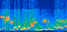 /calipso-imagery/data/BROWSE/production/V5-00/2016-06-08/2016-06-08_00-46-29_V5.00_3_thmb.png image missing
