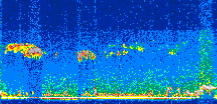 /calipso-imagery/data/BROWSE/production/V5-00/2016-06-08/2016-06-08_02-25-25_V5.00_2_thmb.png image missing