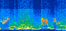 /calipso-imagery/data/BROWSE/production/V5-00/2016-06-08/2016-06-08_02-25-25_V5.00_3_thmb.png image missing