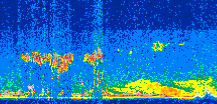/calipso-imagery/data/BROWSE/production/V5-00/2016-06-15/2016-06-15_09-07-03_V5.00_2_thmb.png image missing